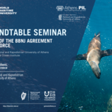 BBNJ ROUNDTABLE SEMINAR -IN RECOGNITION OF THE BBNJ AGREEMENT ENTERING INTO FORCE, 16.1.2026